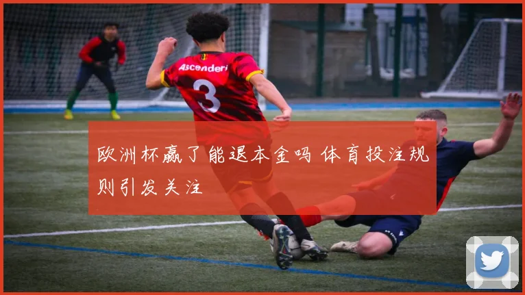欧洲杯赢了能退本金吗 体育投注规则引发关注
