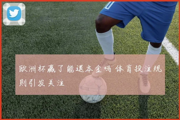 欧洲杯赢了能退本金吗 体育投注规则引发关注