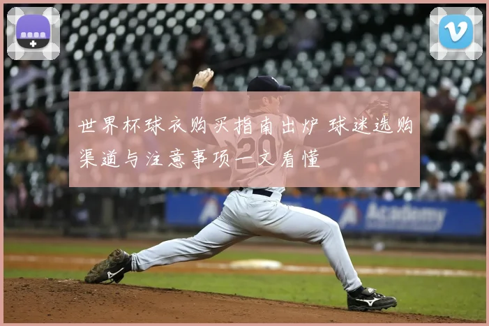 世界杯球衣购买指南出炉 球迷选购渠道与注意事项一文看懂
