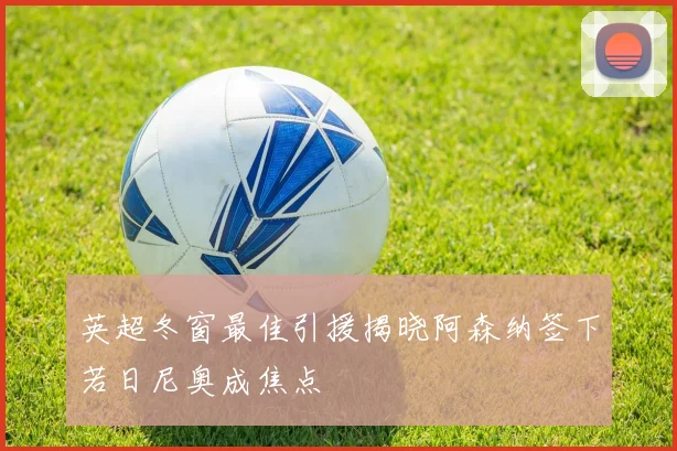 英超冬窗最佳引援揭晓阿森纳签下若日尼奥成焦点