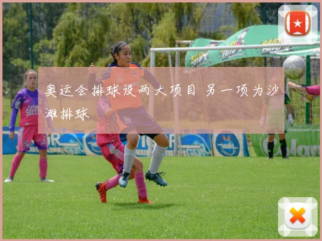 奥运会排球设两大项目 另一项为沙滩排球