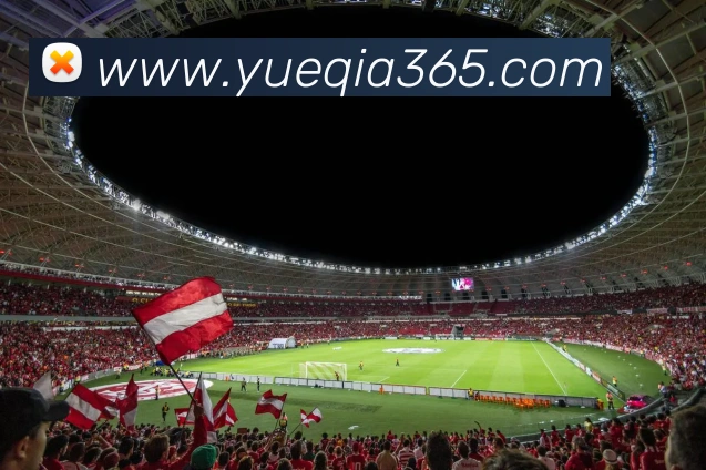 App Interface Preview