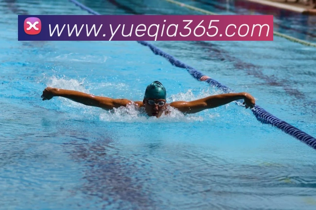 开云手机入口官网APP 封面图